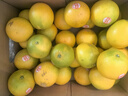 褚橙 云南冰糖橙  优级果 L 10斤装装 单果约130g起 生鲜水果礼盒 实拍图