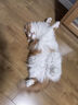 弗列加特猫粮全价主食冻干鲜肉猫粮成猫幼猫主粮低敏无谷猫粮 （98%生骨肉）牛肉味480g 实拍图