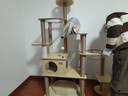 华元宠具（hoopet）大型猫爬架子猫树猫窝一体木质别墅非实木抓柱猫咪玩具太空舱剑麻 实拍图