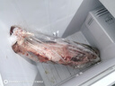 查干湖鱼现货冬捕有机胖头鱼20-23斤1条 春节年货礼盒年夜饭 源头直发 实拍图