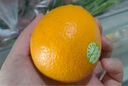 云冠橙 云南冰糖橙  一级果 净重10斤 单果约100g 生鲜水果源头直发 实拍图