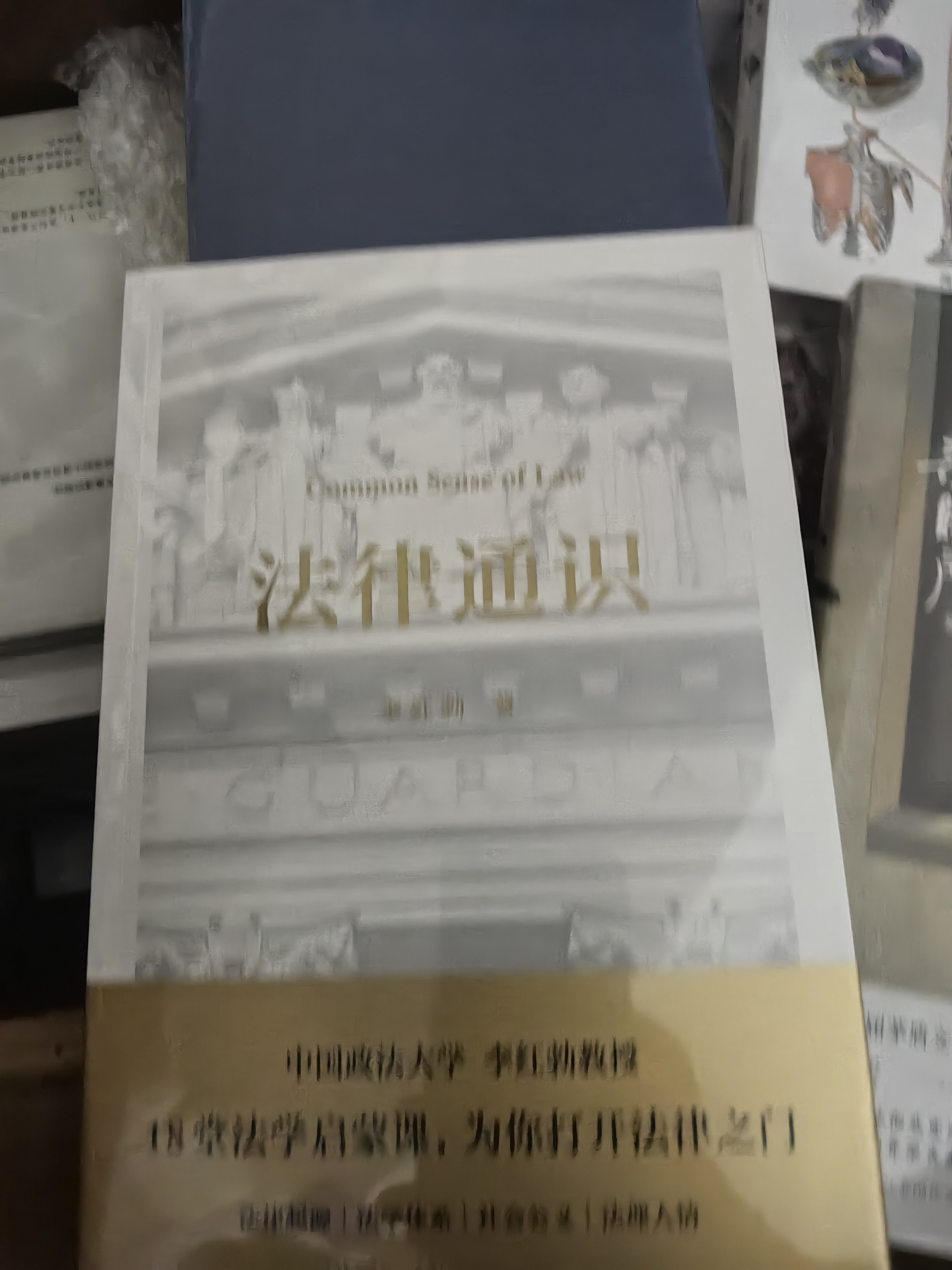 造房子（2016中国好书） 实拍图