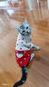派乐特猫咪衣服拜年服冬季防掉毛新年宠物狗狗小型犬加绒保暖过年圣诞M 实拍图