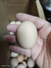 散养土鸡蛋 谷物蛋初生鲜鸡蛋 农家山林谷物喂养笨鸡蛋柴鸡蛋 【小份尝鲜】10枚 S级谷物蛋(40g±5g)/枚 实拍图