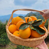 京地达江西赣南脐橙 9斤单果185g+大果甜橙子新鲜水果源头直发包邮 实拍图