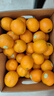 云冠橙净重10斤装2025褚橙官方云南冰糖橙当季新鲜水果礼盒橙子产地直发 一级果云冠橙 5kg 实拍图