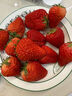 三萌果蔬丹东草莓【JD顺丰空运】99红颜奶油草莓多地次日达新鲜水果年货礼 3斤甄选装净2.8斤【超划算-高复购率】 A+级【大果装】单果20-30g 实拍图