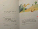 小王子+老人与海+新月飞鸟集+盖茨比+三天光明+安徒生+格林童话+伊索寓言+动物庄园/中英文对照双语读物·世界名著 中小学青少年课外读物 推荐阅读(全10册) 实拍图