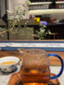 安纯武夷红茶金骏眉特级茶叶礼盒高端送礼2026新茶蜜香单芽黄芽自己喝 【陶瓷礼盒爆款】金芽金骏眉250g 实拍图