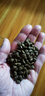 科瑞卡 带冻干猫粮全价低油美英短鱼鲜肉无谷低敏成猫幼猫可用双拼粮 鸡肉猫粮4KG 通用型 实拍图
