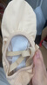 三沙（Sansha）芭蕾舞练功鞋成人舞蹈鞋女软底免系带猫爪鞋考级NO.86 粉色 40 实拍图