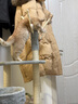华元宠具（hoopet）猫爬架小户型猫窝猫树一体中型剑麻猫抓柱立式猫架子猫抓板猫玩具 实拍图