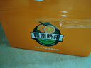 江西赣南早脐橙整箱当季新鲜早橙子榨汁水果礼盒皮薄多汁节日团购 【血橙】净重9斤单个150g+ 实拍图