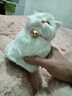 亦趣仿真猫玩偶会叫小猫咪毛绒玩具摆件可爱猫咪公仔儿童生日新年礼物 纯白会叫猫咪+领结 实拍图
