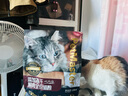 佩玛思特轻享系列 猫粮鲜鸡肉肠道呵护通用全价双拼冻干猫粮1.5kg 实拍图
