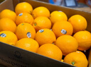 沐小七果蔬 进口新奇士橙子3107黑标脐橙 新鲜sunkist进口橙子甜橙礼盒 5斤装【双人畅享-超划算】 海外直采/新鲜直达 实拍图