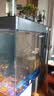 美诺超白鱼缸客厅家用中型生态现代造景金龙鱼缸落地屏风隔断柜水族箱 魅影灰【排水+显示屏】 120*35*130 实拍图