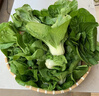 【顺丰】有机青菜 矮脚黄青菜健康无农残有机蔬菜 3斤 晒单实拍图