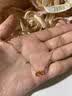 中国黄金（CHINA GOLD）18K金环环相扣手链女款双环转运珠手饰品情人节生日礼物送女友 【今/次日达】18K双环手链 实拍图