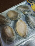 鲍鱼鲜活特大冷冻鲍鱼生鲜大鲍鱼500g   烧烤火锅原材料海鲜生鲜 大号鲍鱼9粒装 一斤一袋家庭装 实拍图