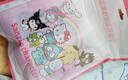 Hello Kitty儿童袜子秋季女童抗菌防臭袜库洛米小女孩宝宝短袜 M241002 22cm 实拍图