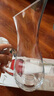 曼薇家用红酒醒酒器水晶玻璃醒酒杯创意U形醒酒欧式小号葡萄分酒器 1000ml有把手醒酒器 实拍图