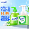 蓝月亮 抑菌芦荟洗手液300g瓶+抑菌泡沫洗手液（芦荟）255ml  实拍图