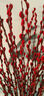 开时果 银柳鲜枝干花年宵花卉 红色真花福桶银柳水培植物室内装饰鲜花 福利推荐【60cm】银柳10枝 实拍图