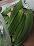 格沃斯（GEWOSI）秋葵鲜新羊角豆新货应季鲜秋葵现摘新鲜黄秋葵 0g 早上采摘下午发 3伒【60-90根】包嫩 实拍图