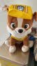 汪汪队立大功（PAW PATROL）汪汪队玩具毛绒全套狗狗玩偶公仔男女孩玩具旺旺队儿童生日礼物 经典款-小砾公仔【需选尺寸】 中号-坐或站高约17~22.9CM 实拍图
