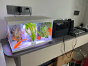 喜高超白玻璃鱼缸智能鱼缸免换水小型客厅水族箱一体式过滤氧气鱼缸 白-鱼缸+加热棒 380*210*245mm 实拍图
