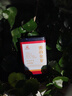 蒲门云南凤庆蜜韵金芽特级红茶春茶茶叶滇红金丝芽针散装红茶礼 实拍图