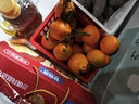 生活＆好管家 四川春见耙耙柑爆浆大果新鲜水果礼盒应季橘子现摘柑橘子桔子 净重4.5斤【超划算】 果径85-90mm【特大果】 实拍图