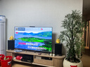 JBLSTAGE 240B HiFi无源高音质发烧书架音箱 号角高音 家用客厅音响 STAGE 240B 书架箱【黑色】 实拍图