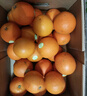云冠橙 云南冰糖橙 特级果 净重10斤 单果约165g  生鲜水果源头直发 实拍图