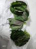 林中山【顺丰发货】新鲜紫苏叶苏子叶泡茶食用包饭韩国烤肉东北绿色蔬菜 500g 实拍图