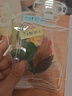 佳茉透明干花书签手工diy材料包标本pvc塑封膜创意植物树叶压花吊瓶小学生压花瓣生日毕业季礼物父亲节 实拍图