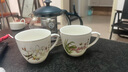 琪馨边陶瓷茶杯水杯带手柄主人杯品茗杯180毫升红茶杯德化白瓷玉瓷家用 清香远溢小茶杯 实拍图