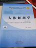 人体解剖学 邵水金 主编 新世纪第五5版 全国中医药行业高等教育十四五规划教材第十一版书籍 中国中医药出版社 实拍图