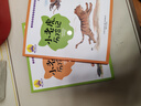稻草人 彩图注音版 儿童文学 叶圣陶著作 一二三年级课外阅读书必读世界经典文学少儿名著童话故事书 大语文系列 小学语文课外阅读经典丛书 实拍图