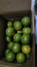 吉果叔 正宗广西茂谷柑 应当季新鲜水果薄皮脏脏柑橘石灰柑橘子整箱 净重8.5-9斤 【中大果】果径65-70mm 实拍图