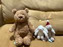 Jellycat笨笨小熊动物毛绒玩偶泰迪动物毛绒玩偶公仔送礼生日新婚礼物 笨笨小熊 Small 实拍图