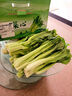桃西村【顺丰直达】正宗广东迟菜心连州菜心农家自种新鲜蔬菜清甜无渣菜 5斤 优选礼盒装 实拍图