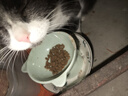 艾尔（Aier）猫粮 深海鱼味成猫幼猫美短英短老年天然粮500g 深海鱼猫粮2.5kg  (500g*5袋) 实拍图