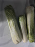 梦芷青麻叶白菜高山大白菜绿叶青口白菜长杆白菜新鲜火筒菜新鲜蔬菜 青口白菜 9斤 实拍图