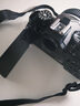 尼康（Nikon）Zfc 微单数码相机 黑色套机 (Zfc)微单套机 （Z 28mm f/2.8 (SE) 微单镜头)  实拍图