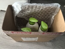 子初婴儿洗衣液植萃温和清洁去污草本浓缩洗衣液500ml*1瓶+500ml*3袋 实拍图