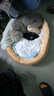 【京东快递】猫咪保暖加厚椭圆窝封闭式宠物窝小型犬狗窝猫咪窝 奶茶色 L60*75（20斤内） 实拍图