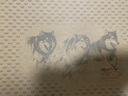 七匹狼（SEPTWOLVES）皮鞋男正装鞋商务男鞋系带英伦鞋子男82533491490-02 黑色 41  实拍图