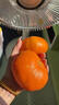 【顺丰】四川眉山甘平柑橘皇后孕妇新鲜水果纯甜小金牛桔子耙耙柑 净重5斤（新鲜带枝叶发货） 精选一级大果（单果200-250g） 实拍图